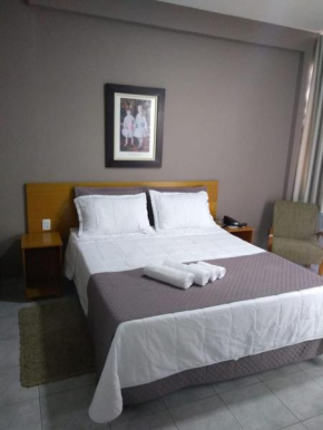 Гостиница Presidente Hotel  Пасус
